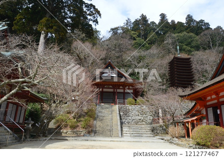 "Gonden (center)," "Thirteen-story pagoda (right)," and "Shinto shrine (bottom right)" (Tanzan Shrine, Tonomine, Sakurai City, Nara Prefecture) 121277467