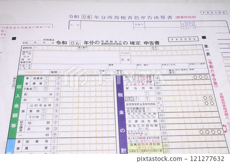 Income tax return for 2024 and blue agricultural income 121277632