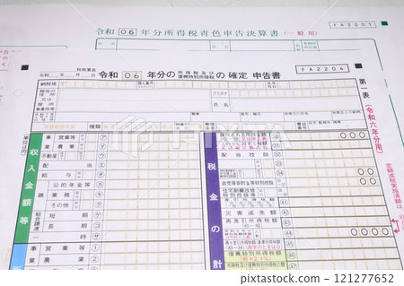 Income tax return and general blue financial statement for 2024 121277652