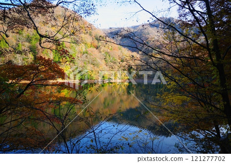 青森縣十二湖之一的Ketouba池塘裡倒映著紅葉的秋景。 121277702