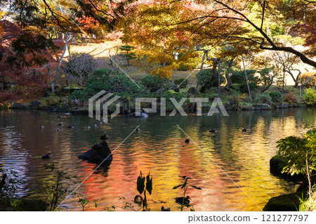 Colorful autumn leaves that reflect the season at Naritasan Park 121277797