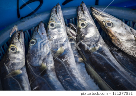 捕獲量：上游海岸捕獲的魚 121277851