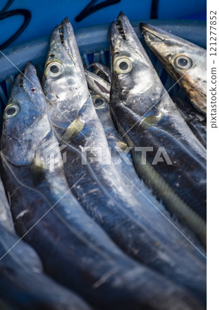 捕獲量:上游海岸捕獲的魚 捕獲量:上游海岸捕獲的魚 121277852