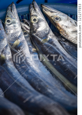 捕獲量:上游海岸捕獲的魚 捕獲量:上游海岸捕獲的魚 121277853