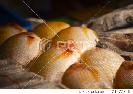 捕獲：在上岸捕獲的海鯛魚 121277868