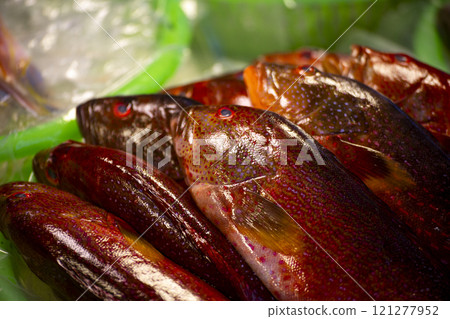 新鮮的紅條魚在市場上 121277952