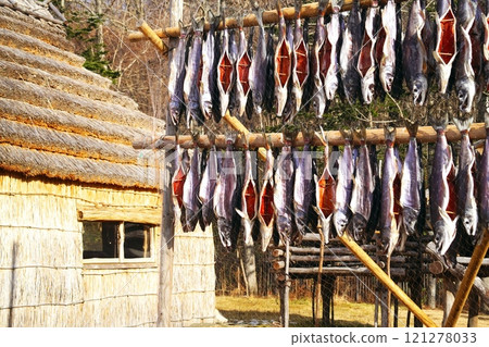 一隻美妙的烏波波伊出生在波羅托湖畔 121278033