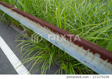 Roadside weeds spilling out onto the road 121278106