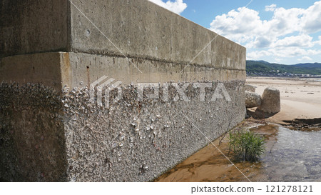 能登半島地震的受災狀況（石川縣輪島市海曾海岸附近隆起造成的港口狀況） 121278121