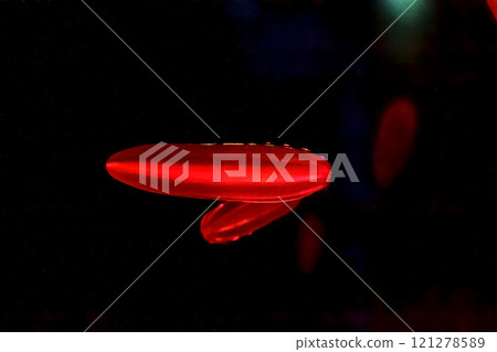 吃水母的新海葫蘆水母會發出彩虹色的光 121278589