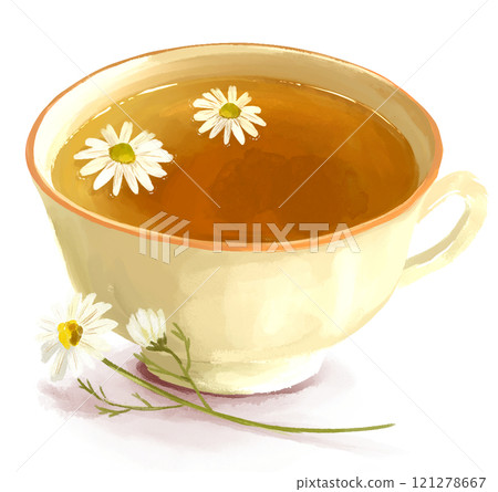 甘菊茶手繪插畫 甘菊茶手繪插畫 121278667