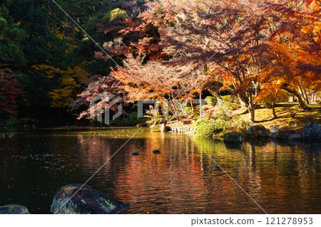 成田山公園 - 色彩繽紛的紅葉,讓您感受到季節的變化 成田山公園 - 色彩繽紛的紅葉,讓您感受到季節的變化 121278953