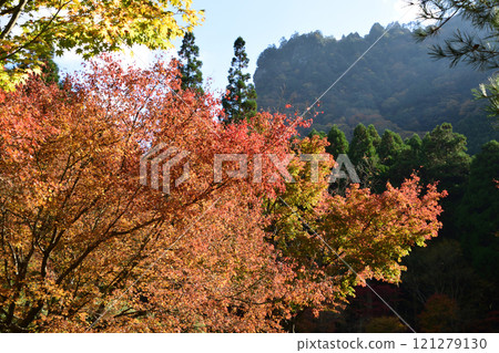彥山大公元的紅葉 彥山大公元的紅葉 121279130