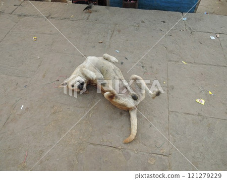 Varanasi is a city on the Ganges river in northern India that has a central place in pilgrimage, death, and mourning in the Hindu world. 121279229