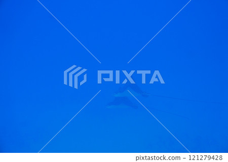 The Seatiger shipwreck when SCUBA diving off of Oahu. Wreck diving adventures with Oahu Diving, your wreck dive specialist. 121279428