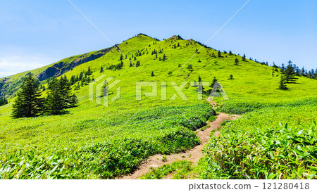 夏季登山希雅山、貓山(希雅山、貓山) 夏季登山希雅山、貓山(希雅山、貓山) 121280418