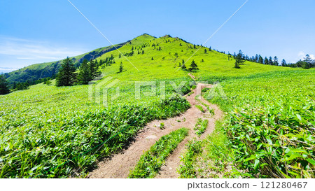 夏季登山希雅山、貓山（希雅山、貓山） 121280467