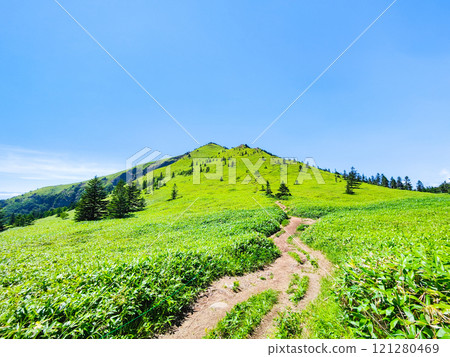 夏季登山希雅山、貓山（希雅山、貓山） 121280469