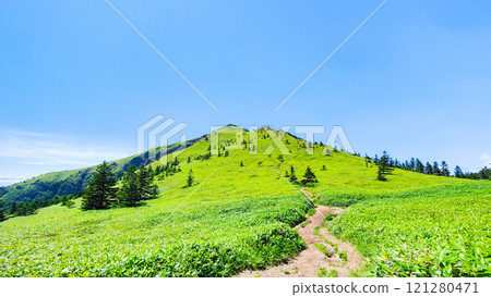 夏季登山希雅山、貓山(希雅山、貓山) 夏季登山希雅山、貓山(希雅山、貓山) 121280471