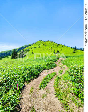 夏季登山希雅山、貓山(希雅山、貓山) 夏季登山希雅山、貓山(希雅山、貓山) 121280484