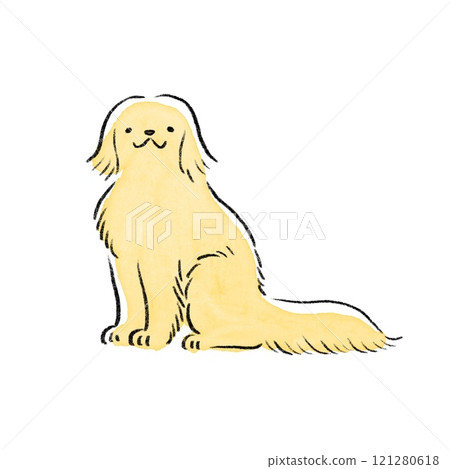 金毛獵犬面向前方 121280618