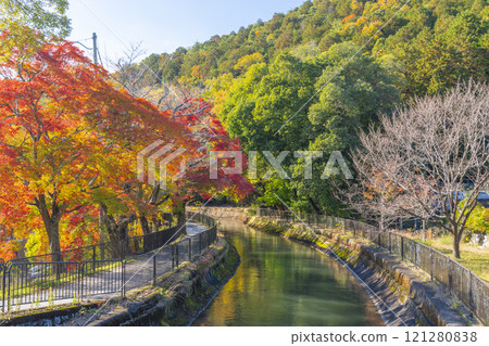 Autumn leaves at the Yamashina Canal (Lake Biwa Canal) - A tree-lined path of autumn leaves 121280838