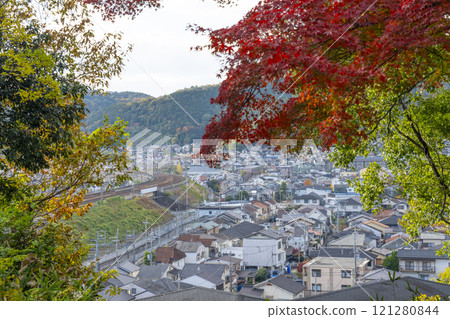 Autumn leaves at the Yamashina Canal (Lake Biwa Canal) - A tree-lined path of autumn leaves Autumn leaves at the Yamashina Canal (Lake Biwa Canal) - A tree-lined path of autumn leaves 121280844