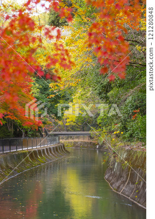 Autumn leaves at the Yamashina Canal (Lake Biwa Canal) - A tree-lined path of autumn leaves 121280848