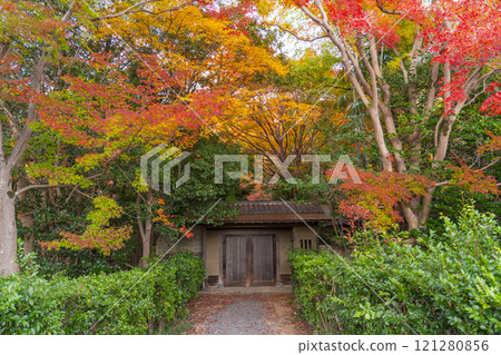 Autumn leaves at the Yamashina Canal (Lake Biwa Canal) - A tree-lined path of autumn leaves 121280856