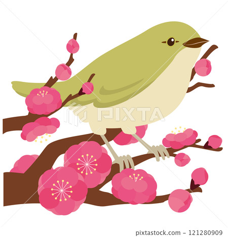 Vector illustration of a nightingale on a plum tree (red plum, double-flowered) 121280909