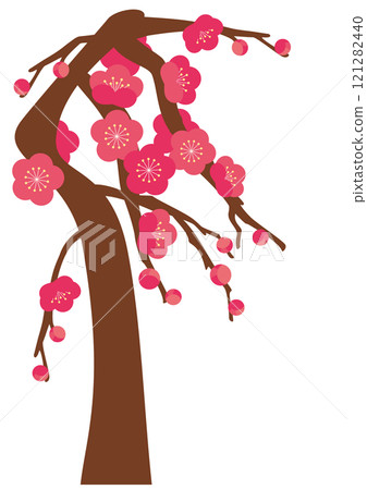 紅梅樹(垂梅)的向量圖解 紅梅樹(垂梅)的向量圖解 121282440