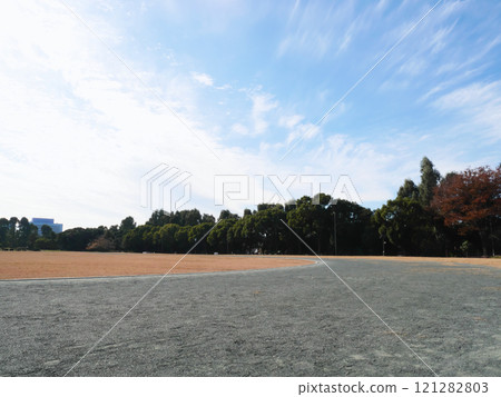 夢之島公園田徑場 121282803