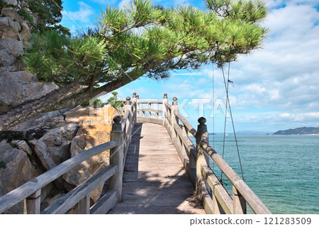 Cape Takei Kannon Cape Takei Kannon 121283509