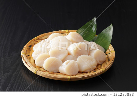 Hokkaido scallops piled high in a colander Hokkaido scallops piled high in a colander 121283888