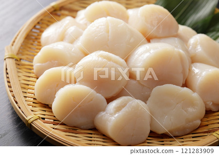 Hokkaido scallops piled high in a colander 121283909