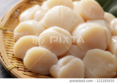 Hokkaido scallops piled high in a colander 121283910