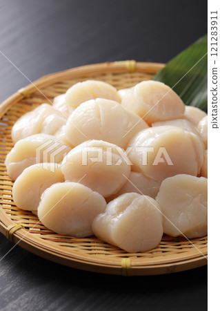 Hokkaido scallops piled high in a colander Hokkaido scallops piled high in a colander 121283911