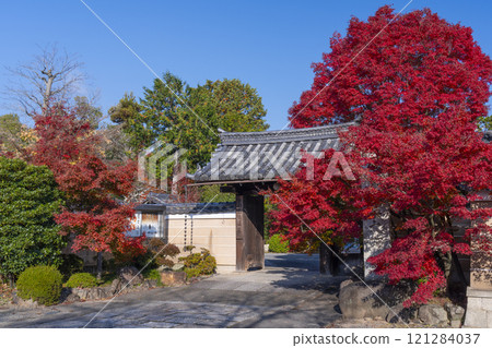 Autumn in Kyoto: Shinko-in Temple's gate surrounded by autumn leaves Autumn in Kyoto: Shinko-in Temple's gate surrounded by autumn leaves 121284037