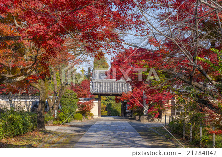 秋天的京都，Shinkoin，三門門被秋葉覆蓋 121284042