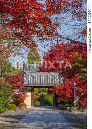 Autumn in Kyoto: Shinko-in Temple's gate surrounded by autumn leaves 121284044