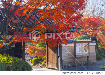 Autumn in Kyoto: Shinko-in Temple's gate surrounded by autumn leaves Autumn in Kyoto: Shinko-in Temple's gate surrounded by autumn leaves 121284050