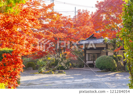 京都的秋天,新光院,被紅葉包圍的茶室“蓮月庵” 京都的秋天,新光院,被紅葉包圍的茶室“蓮月庵” 121284054