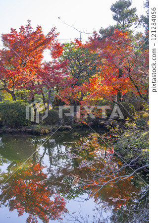 Autumn in Kyoto: Shinko-in Temple, Hojo-ike pond surrounded by autumn leaves Autumn in Kyoto: Shinko-in Temple, Hojo-ike pond surrounded by autumn leaves 121284056
