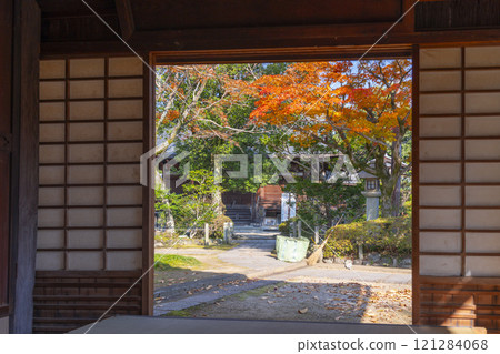 秋天的京都新光院蓮月庵可見秋葉 121284068