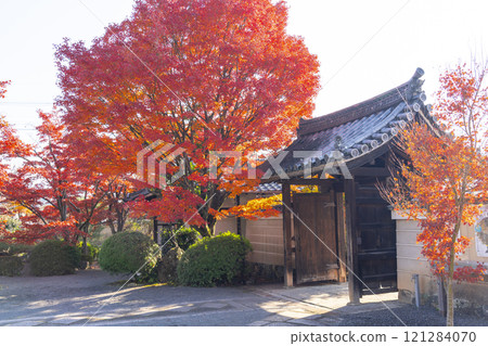 Autumn in Kyoto: Shinko-in Temple's gate surrounded by autumn leaves 121284070