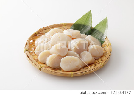 一堆扇貝 一堆扇貝 121284127