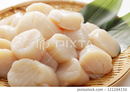 A mountain of scallops 121284150
