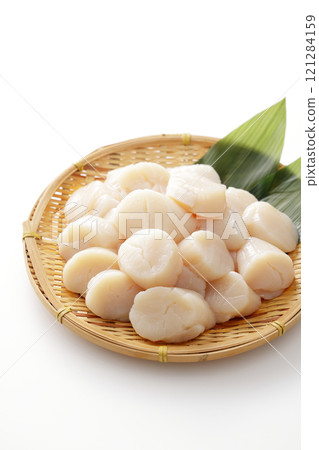 一堆扇貝 121284159