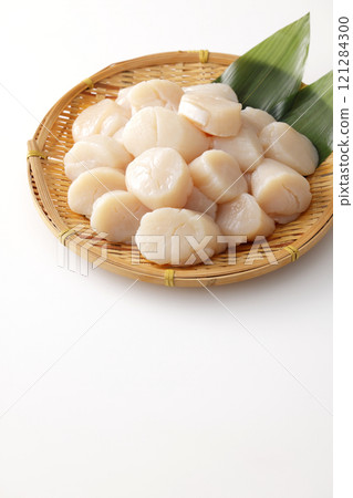 scallop, Adductor Muscle, raw 121284300