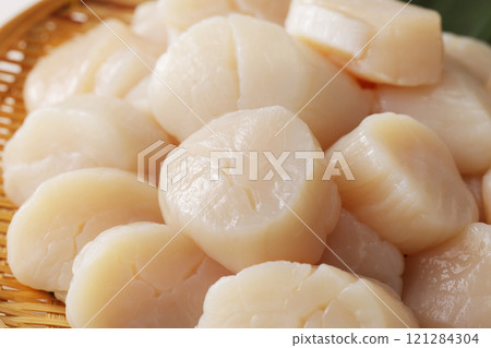 scallop, sashimi, Adductor Muscle 121284304